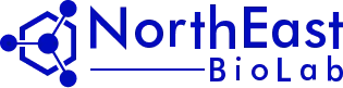 NorthEast BioLab Logo | Advanced Bioanalytical Services Lab | NorthEast BioLab